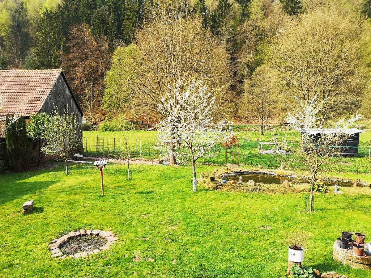 Sinnglueck Obersinn Luaran gambar